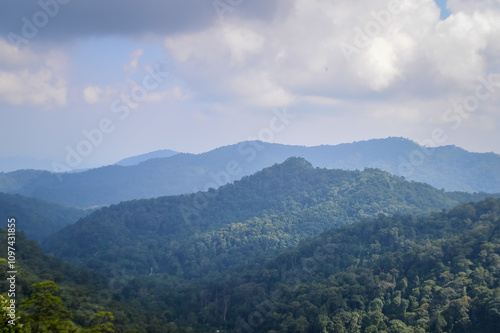 Mountain and tree in Northern Thailand,South East Asia