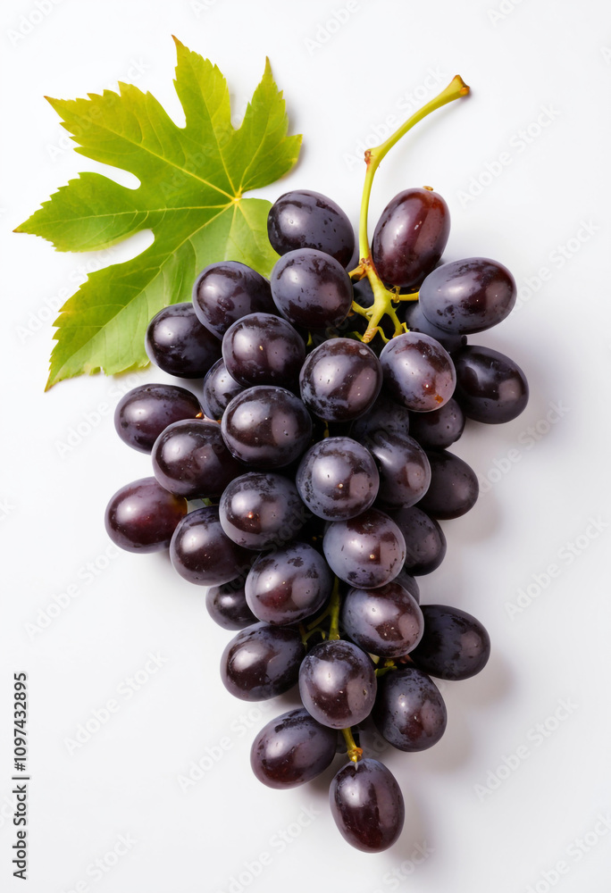 Fototapeta premium Fresh Bunch of Black Grapes Isolated on a White Background.