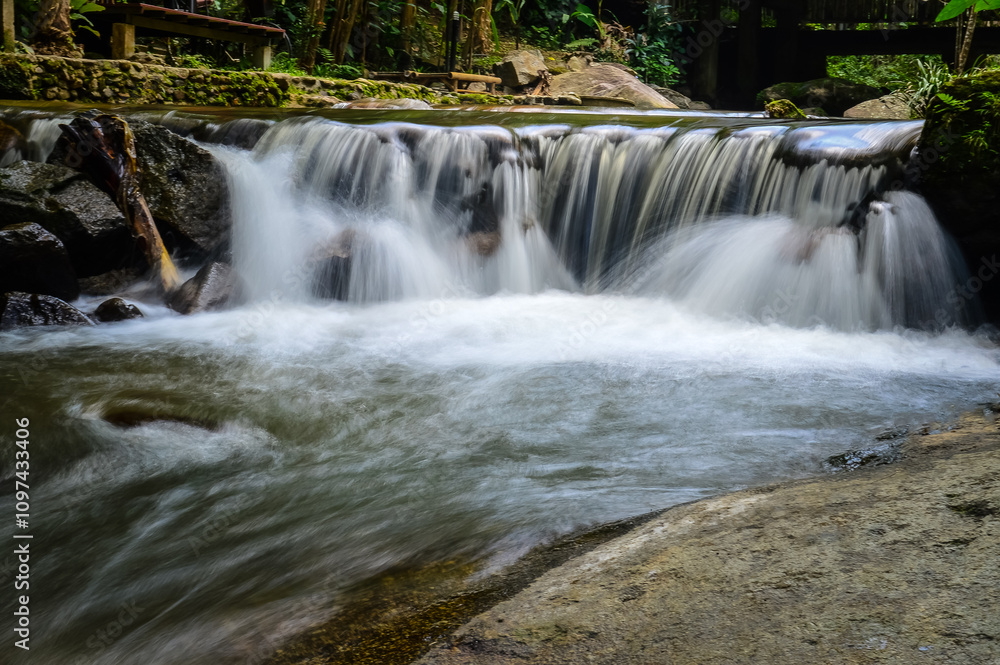 Obraz premium Little Creek in jungle at Doi Saket chiangmai Northern Thailand,South East Asia