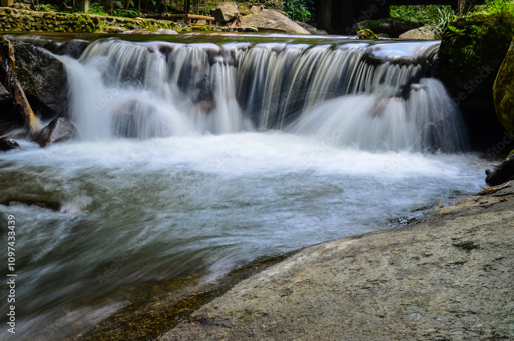 Obraz premium Little Creek in jungle at Doi Saket chiangmai Northern Thailand,South East Asia