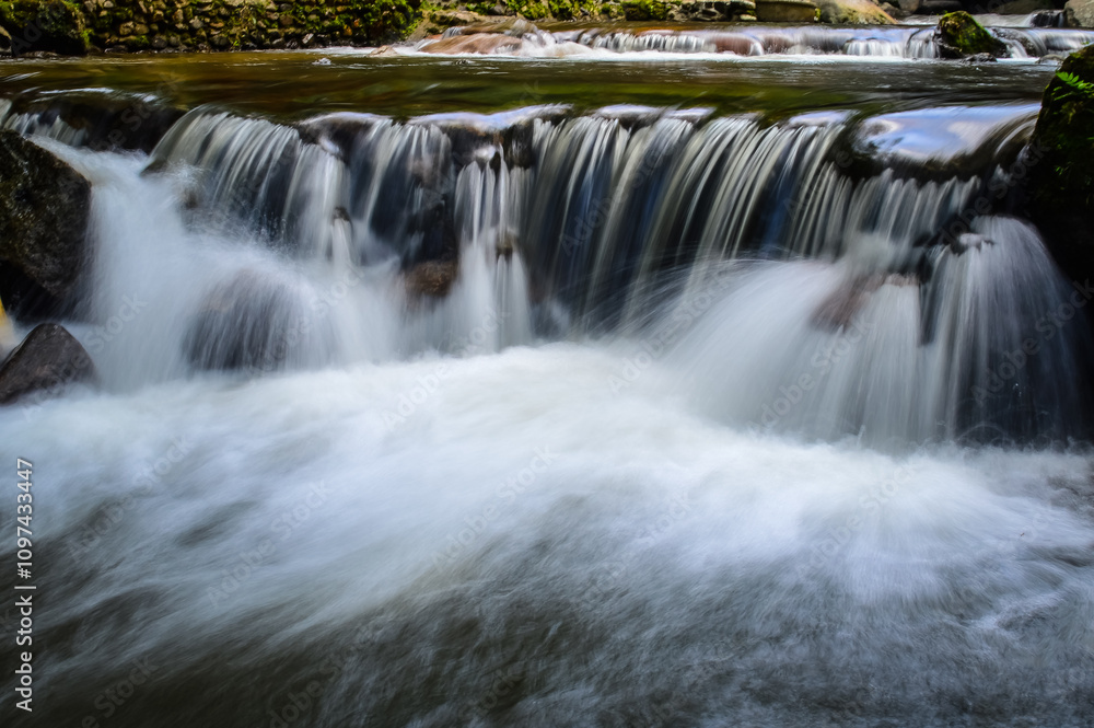 Obraz premium Little Creek in jungle at Doi Saket chiangmai Northern Thailand,South East Asia