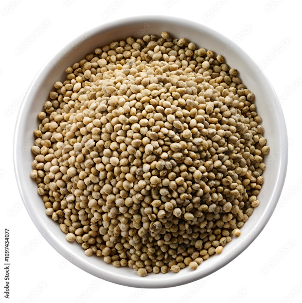 Hemp seed isolated on transparent background Hemp seed isolated on transparent background