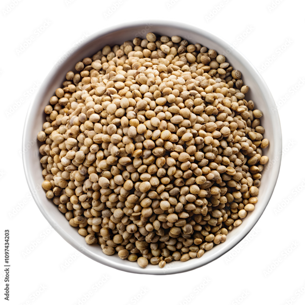 Hemp seed isolated on transparent background Hemp seed isolated on transparent background