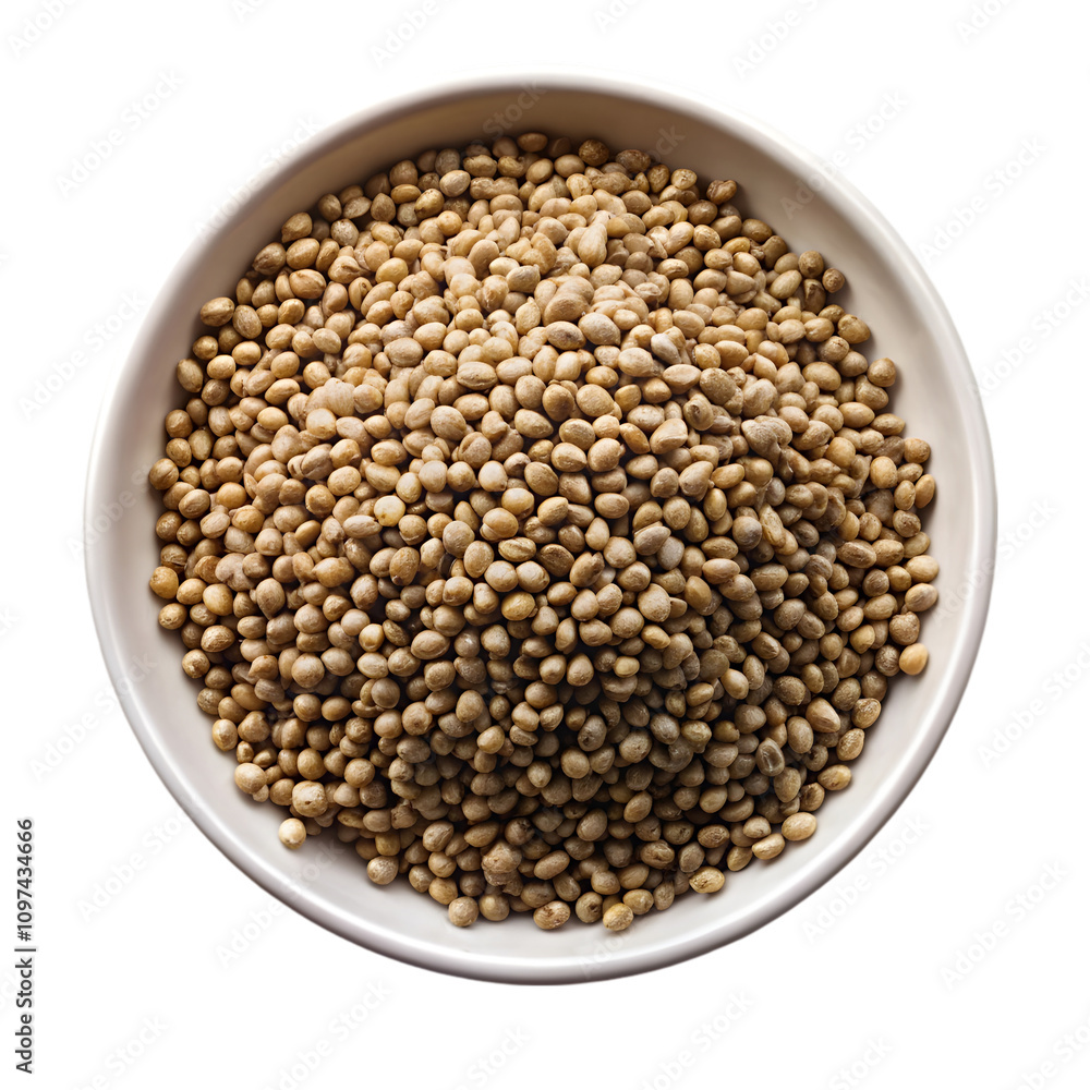 Hemp seed isolated on transparent background Hemp seed isolated on transparent background