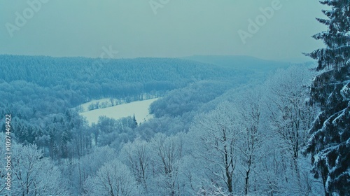 冬天大雪树木树林冬季风景冬日 photo