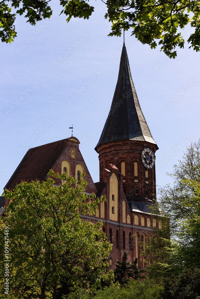 Historic clock tower surrounded by lush trees on a clear day in a quiet town Historic clock tower surrounded by lush trees on a clear day in a quiet town
