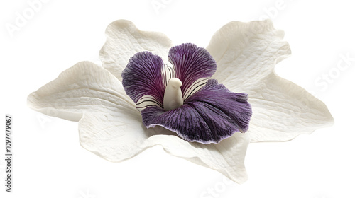 exotic orchid flower with white petals and a vibrant purple center, placed on a pure white background