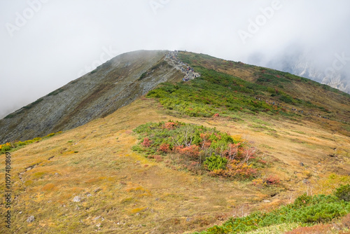 Happo Alpen Line Nature trail, Hakuba, Nahano, Japan, Mountain landscape with fog and vegetation photo