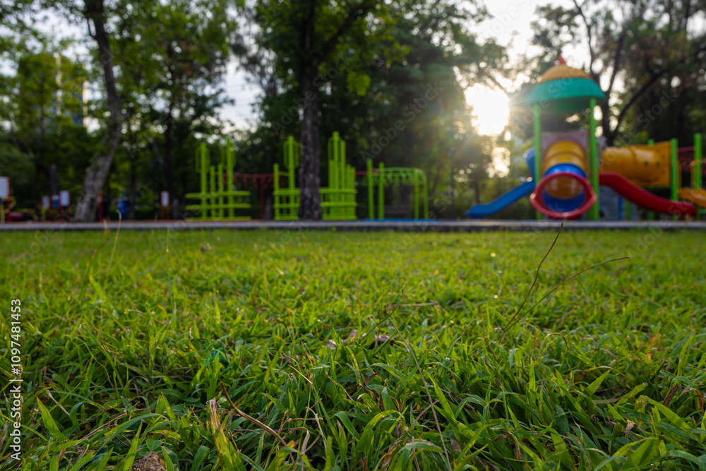 Green meadow grass in playground city public park morning sun rise Green meadow grass in playground city public park morning sun rise