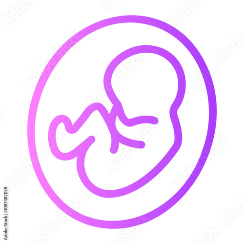 fetus