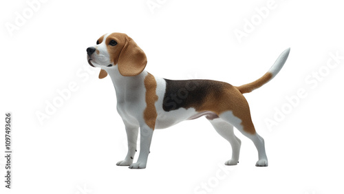 Transparent background realistic beagle dog stands proudly, showcasing its distinctive brown and white coat. This playful and friendly breed is known for its keen sense of smell and energetic nature photo