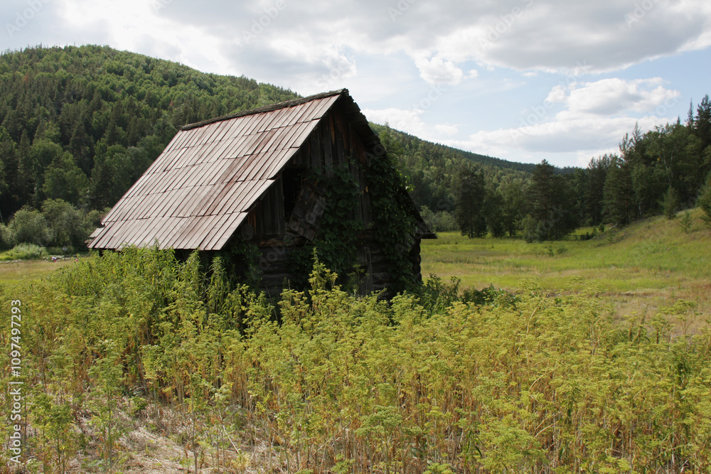 The Southern Urals, Bashkir State Nature Reserve. Abandoned huts of the forest cordon. The Southern Urals, Bashkir State Nature Reserve. Abandoned huts of the forest cordon.