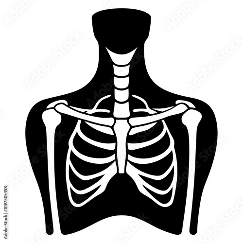 Clavicle (Collarbone) black silhouette vector illustration