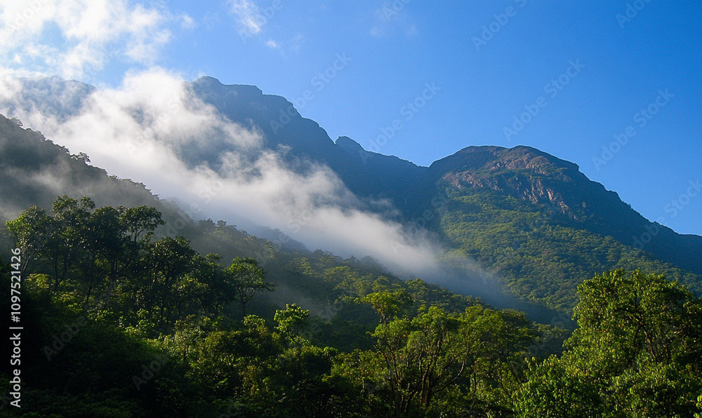Obraz premium A nature mountain with thick forest and cloud with blue sky
