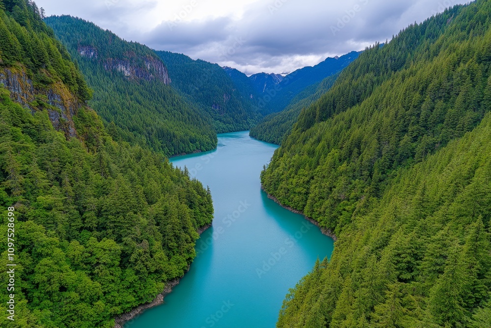 A high-altitude shot of an azure river winding through a lush forest, with sunlight filtering through the trees A high-altitude shot of an azure river winding through a lush forest, with sunlight filtering through the trees