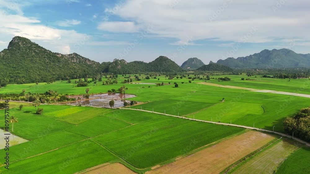 Aerial view of green valley with rice fields and palm trees surrounded by high mountains. Beautiful wild nature landscape of Thailand, Southeast Asia Aerial view of green valley with rice fields and palm trees surrounded by high mountains. Beautiful wild nature landscape of Thailand, Southeast Asia