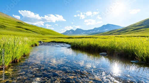 Scenic view of a tranquil stream flowing through lush green meadows under a bright blue sky.