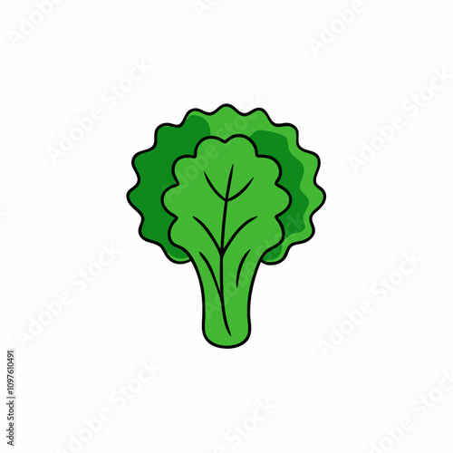 broccoli isolated on white background