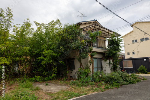 雑草で囲まれた空き家