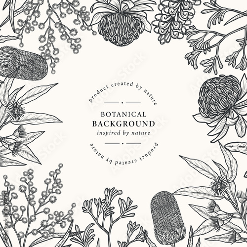 Hand drawn Australian flowers and plants frame