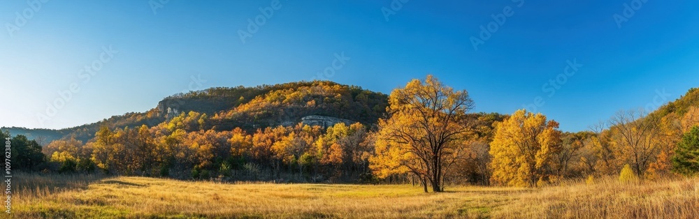 Autumn colors blanket the Ozark Mountains as golden leaves dance in the gentle breeze near a clear blue sky