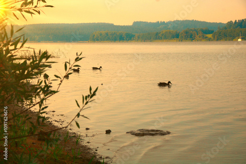 moldaustausee photo