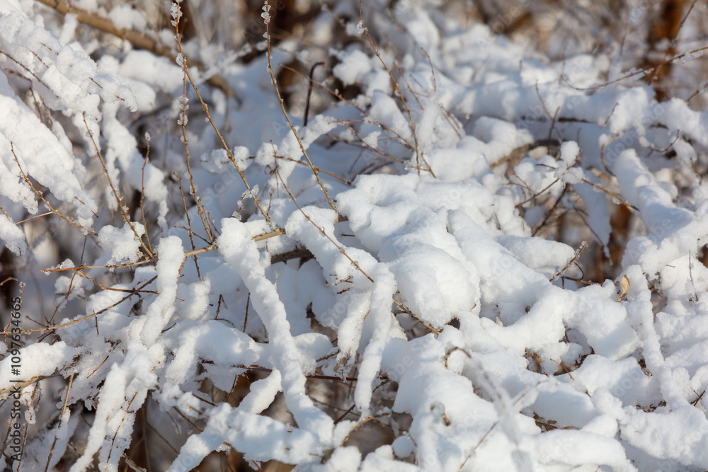 A snow covered tree branch with snow on it A snow covered tree branch with snow on it