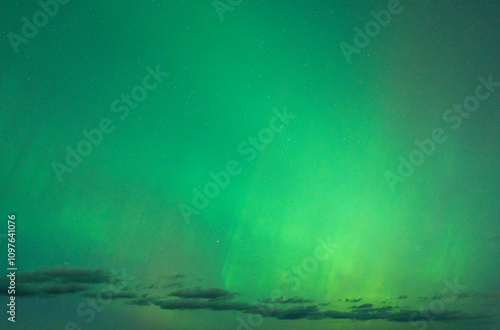 Northern lights in 2024 green sky
