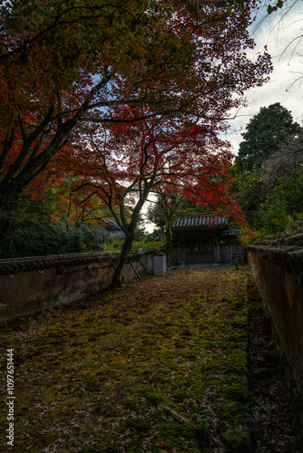 書写山圓教寺 photo