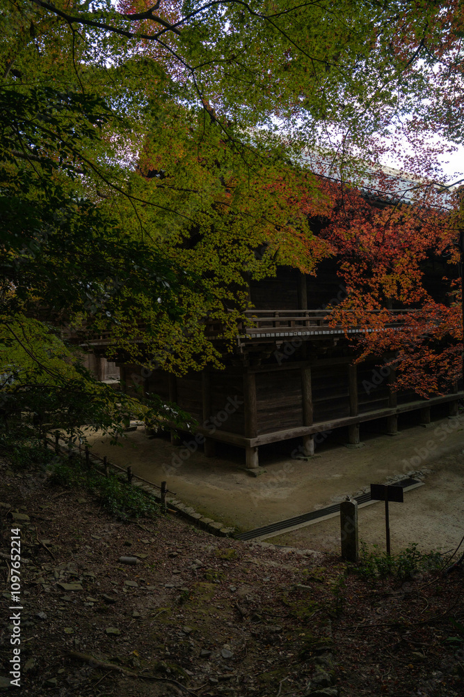 Fototapeta premium 書写山圓教寺