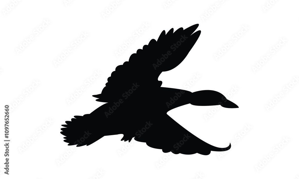 Fototapeta premium Flying Duck Silhouette Design And Vector Illustration. 