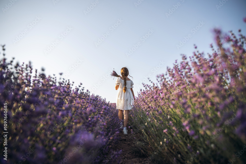 Lavender field girl. Back view happy girl in white dress with a scythe runs through a lilac field of lavender. Aromatherapy travel Lavender field girl. Back view happy girl in white dress with a scythe runs through a lilac field of lavender. Aromatherapy travel