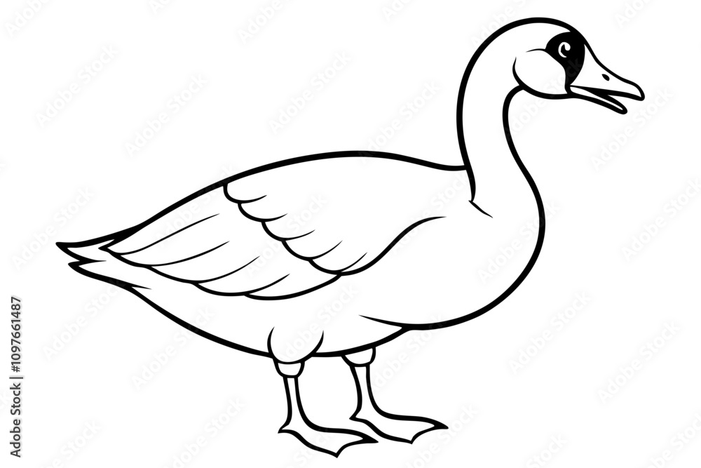 Canadian goose vector art illustration Canadian goose vector art illustration