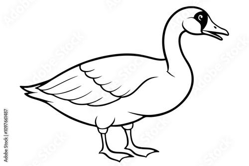 Canadian goose vector art illustration
