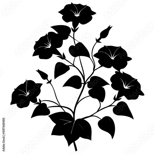 black and white flowers