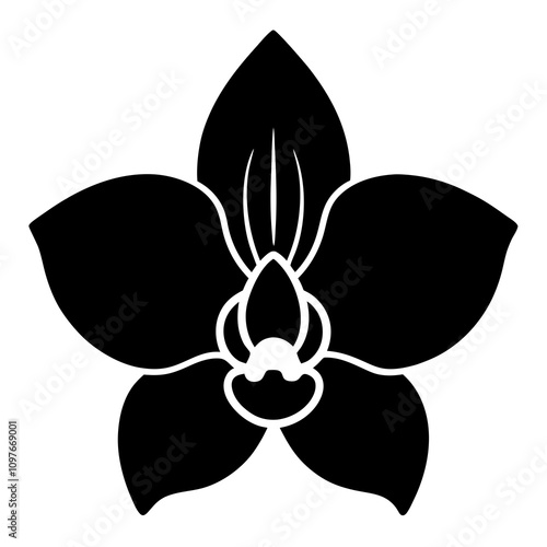 black and white flower