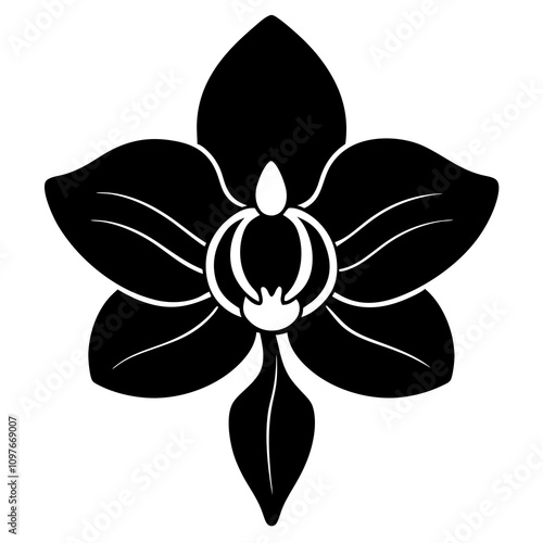 black and white flower