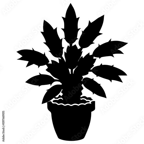 plant in a pot