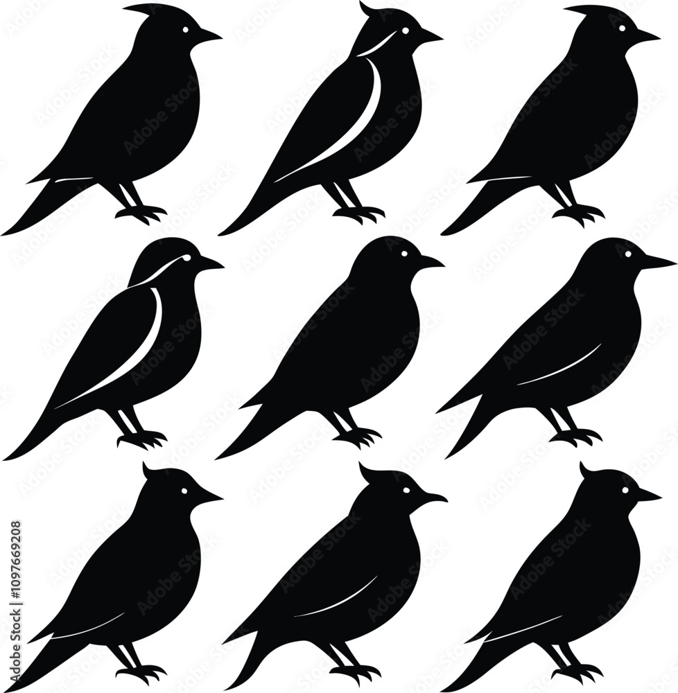 custom made wallpaper toronto digitalBlack Bird Silhouette Vector Art: Illustration of Bird Shapes, Wildlife Graphic Design Element, Animal Icon, Bird Clipart, Isolated Bird Image