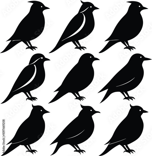 Wallpaper Mural Black Bird Silhouette Vector Art: Illustration of Bird Shapes, Wildlife Graphic Design Element, Animal Icon, Bird Clipart, Isolated Bird Image Torontodigital.ca