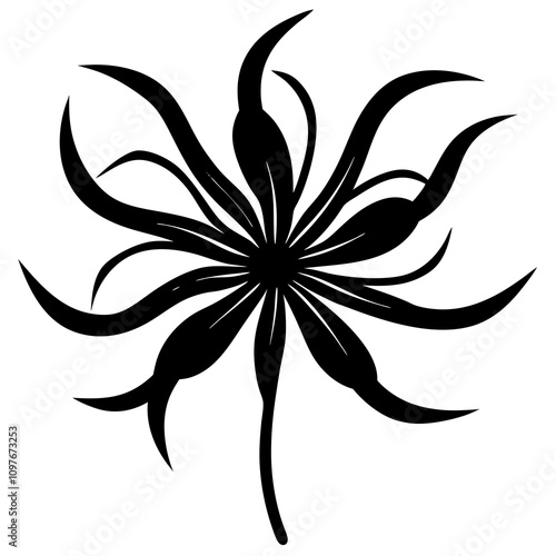 black and white flower