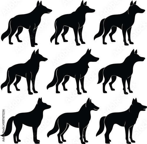 set consistent dingo black color silhouette vector photo