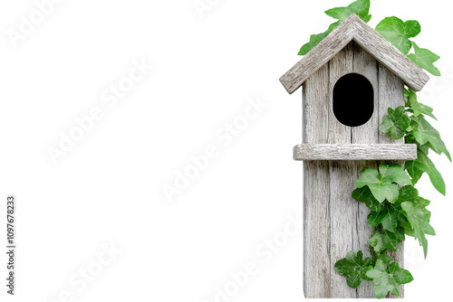 Rustic Wooden Birdhouse Covered in Green Ivy on White Background photo