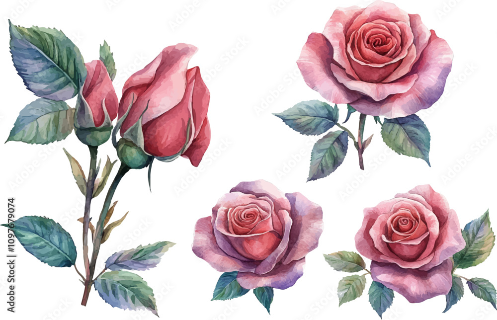 Fototapeta premium set of roses