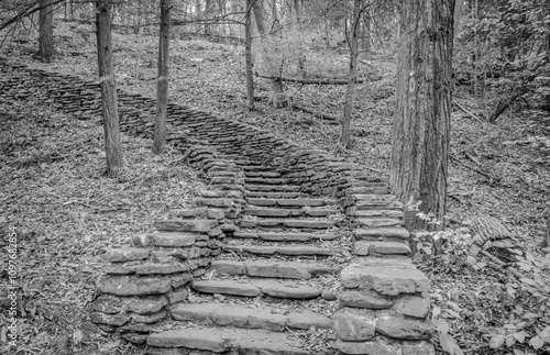 letchworth park in fall with leaves stairs