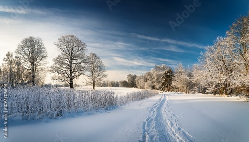 Wallpaper Mural Invierno Torontodigital.ca