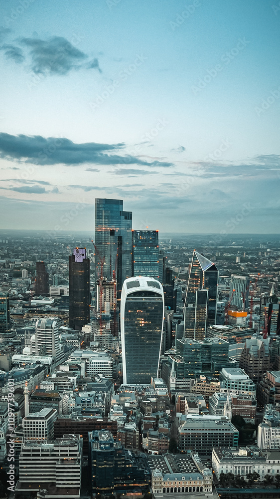 Fototapeta premium city skyline