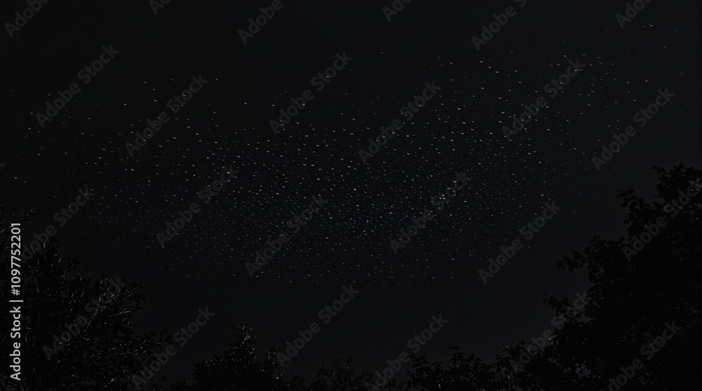 Obraz premium A group of bats flying together through the darkness above the treetops, aerial views, aerial movement, flying animals, clouds at night, bats in flight