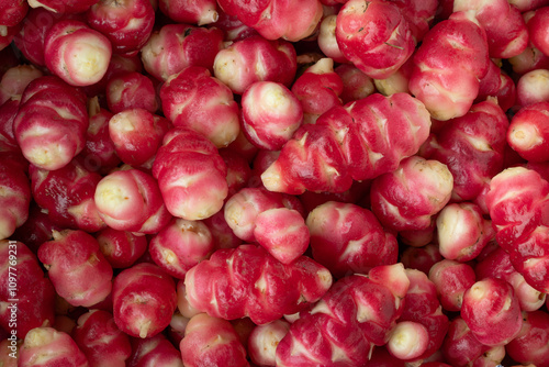 Oca from Peru
