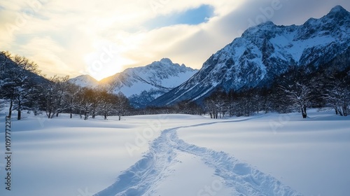 Wallpaper Mural Serene Winter Wonderland Snow Covered Mountain Landscape with Path Torontodigital.ca